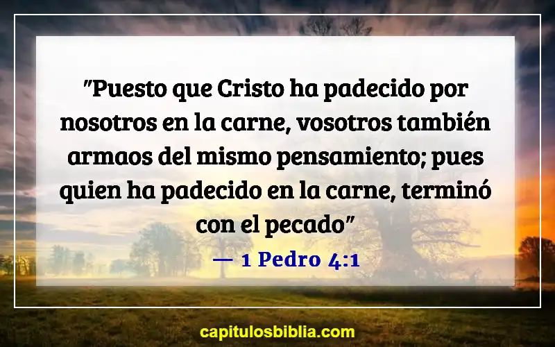 Versículos de la Biblia sobre llevar la cruz (1 Pedro 4:1)