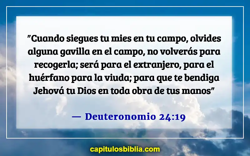 Versículos de la Biblia sobre servir a los pobres (Deuteronomio 24:19)