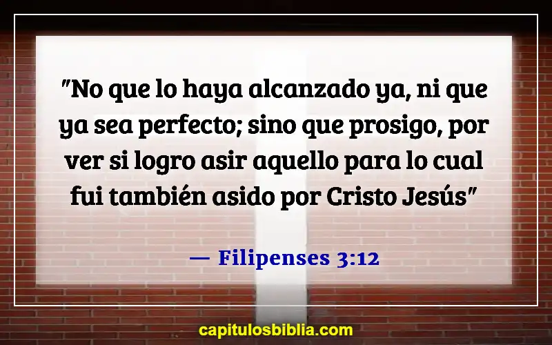 Versículos de la Biblia sobre que nadie es perfecto (Filipenses 3:12)