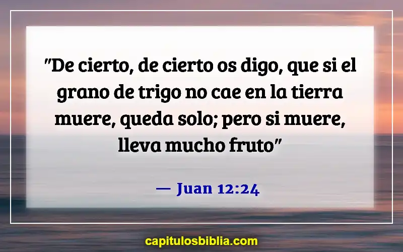 Versículos de la Biblia sobre llevar la cruz (Juan 12:24)