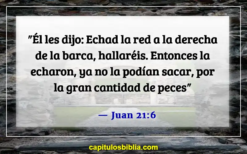 Versículos de la Biblia sobre comer pescado (Juan 21:6)