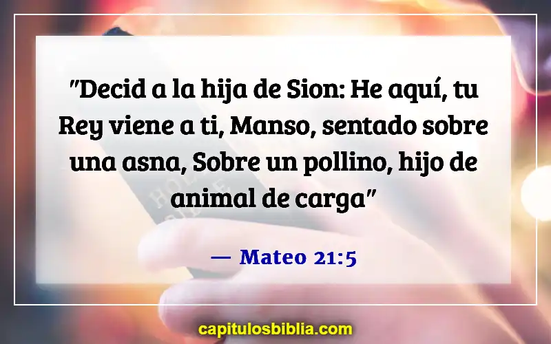 Versículos bíblicos sobre el Domingo de Ramos (Mateo 21:5)