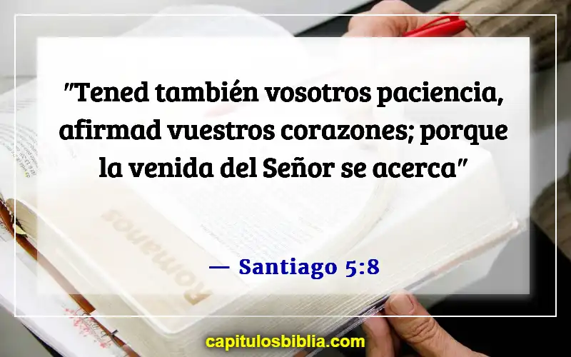 Versículos bíblicos sobre la venida de Jesucristo (Santiago 5:8)